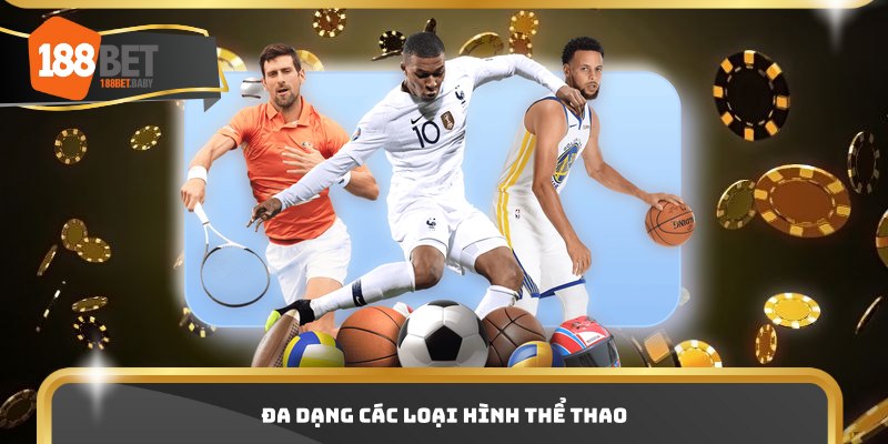 Đa dạng các loại hình thể thao