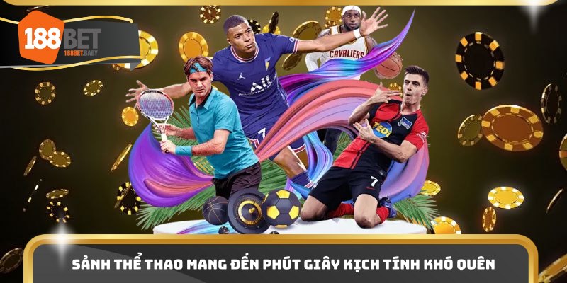 Sảnh thể thao mang đến phút giây kịch tính khó quên